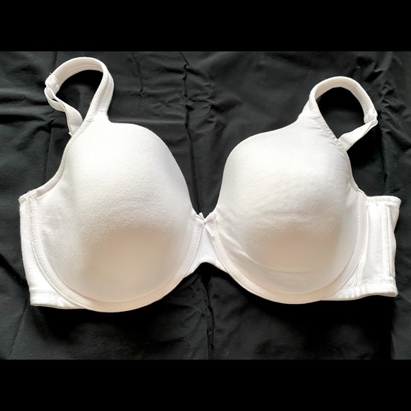 Lane Bryant Cacique Cotton Lightly Lined T-Shirt Bra. 42DD - Picture 1 of 8
